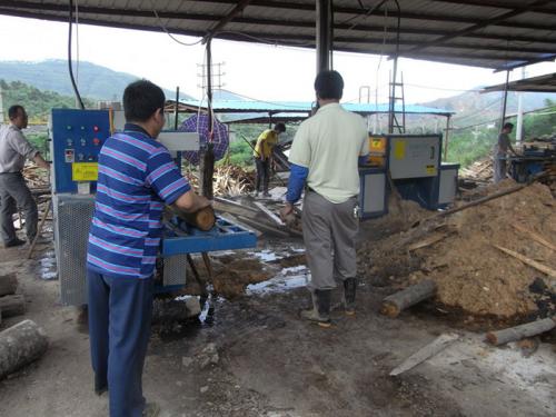 廣東省韶關市馬壩-圓木多片鋸250-加工現場