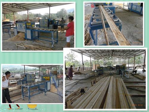 廣西-桂林-原木多片鋸250-方木70-加工現(xiàn)場